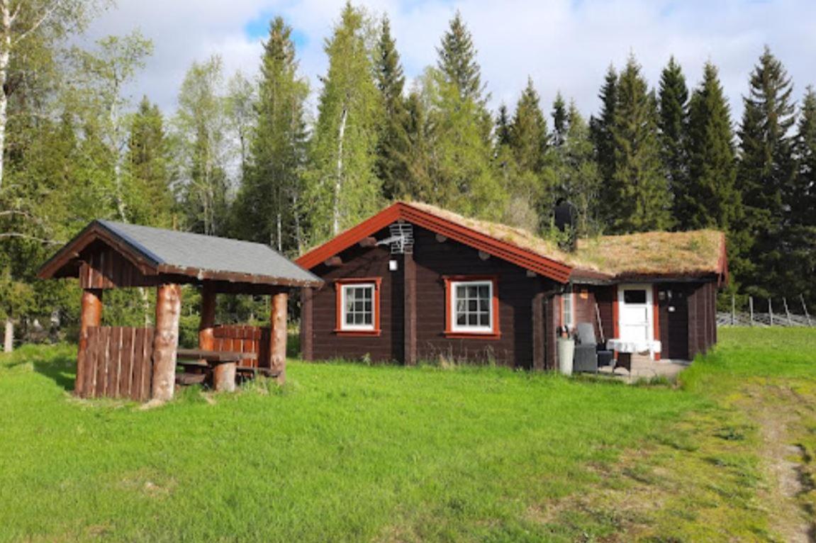 Saeterhaugen Overnatting Asmulen Exterior photo